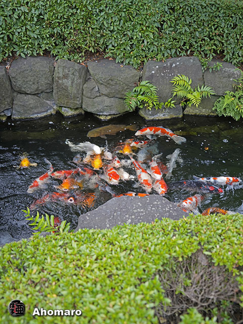 写真00
