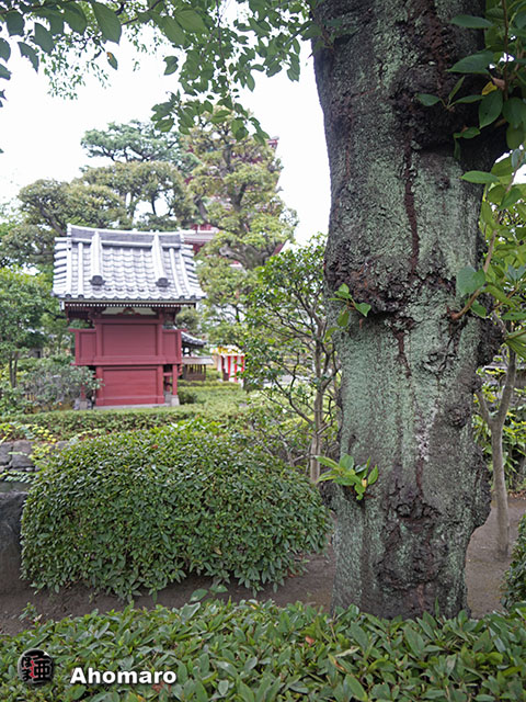 写真00