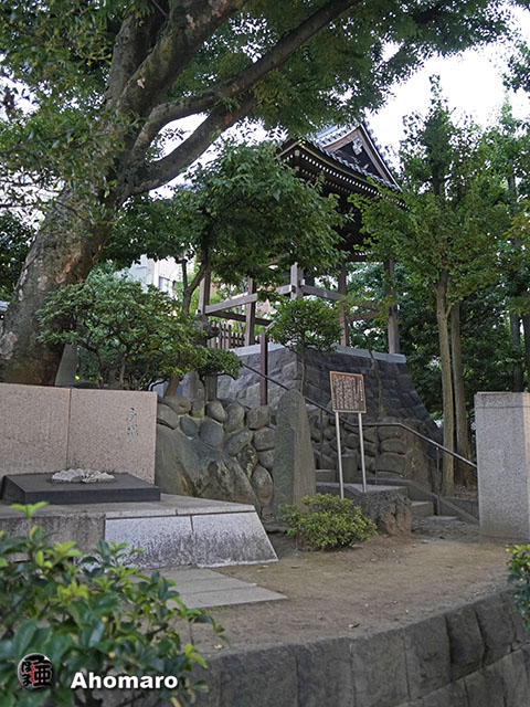 写真00