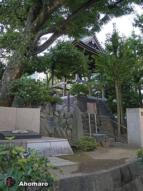 写真00