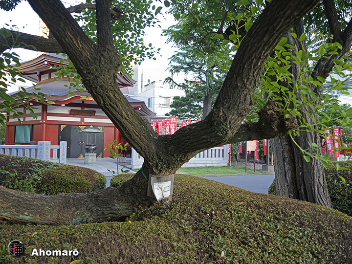 写真00