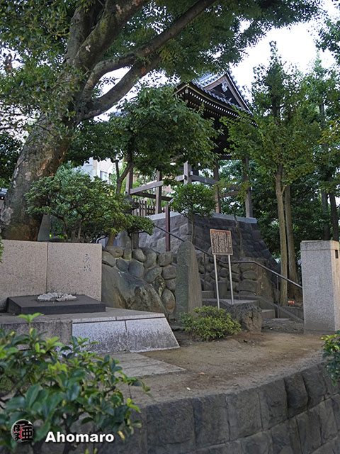 写真00