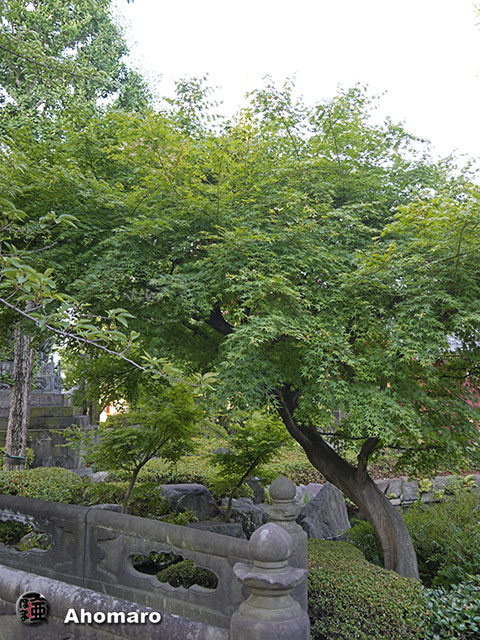 写真00