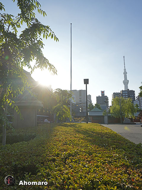 写真00