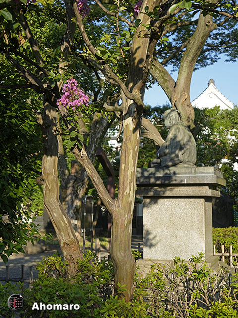写真00