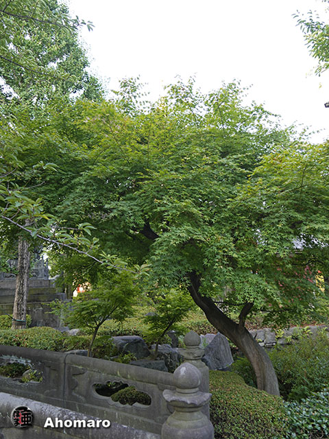 写真00