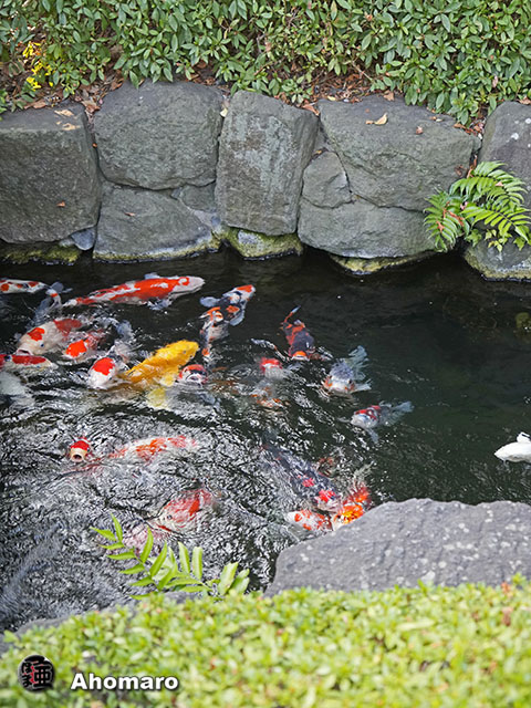 写真00