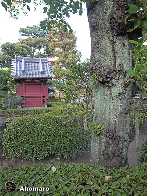 写真00