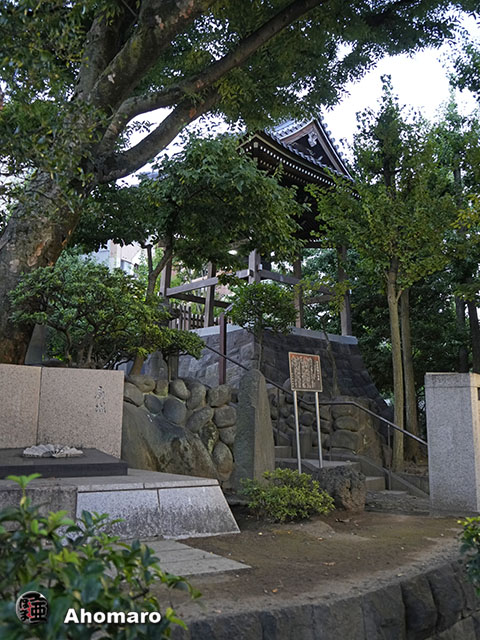 写真00