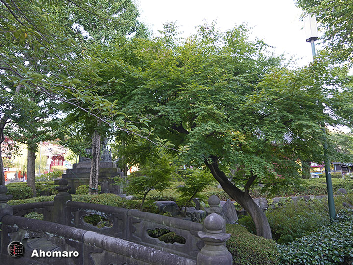 写真00