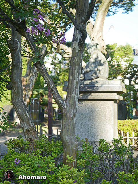 写真00