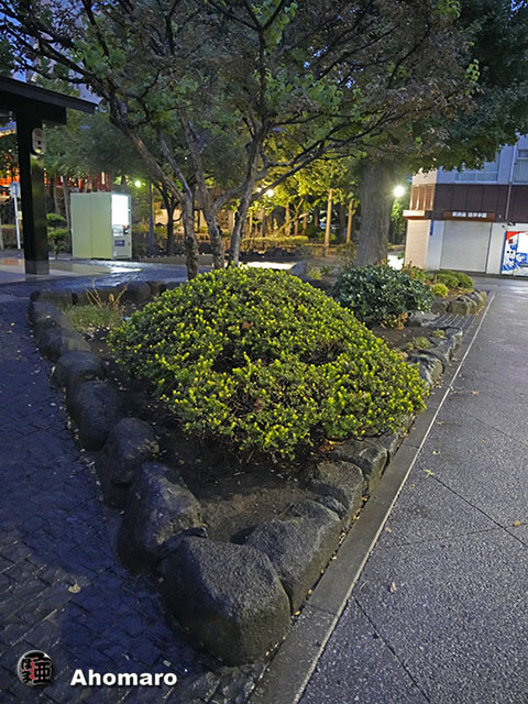 写真00