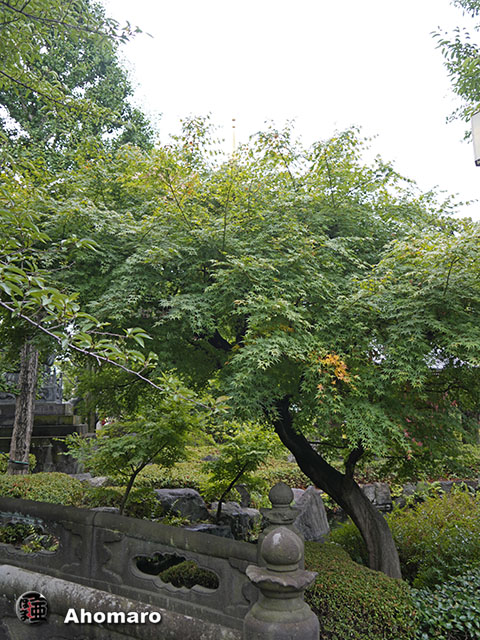 写真00