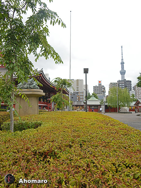 写真00