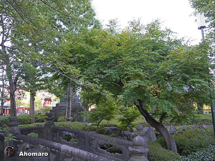 写真00