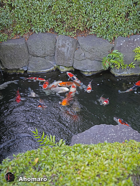 写真00