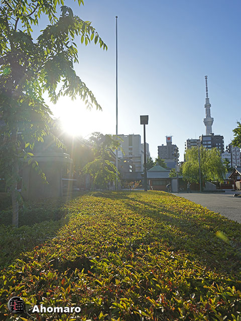 写真00