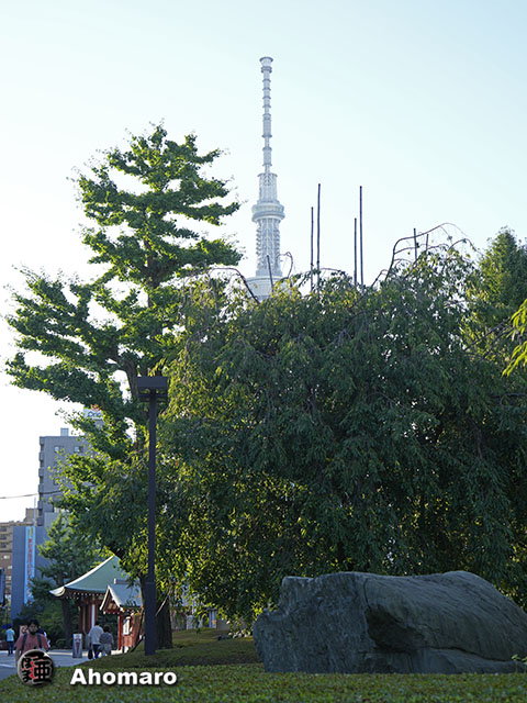 写真00