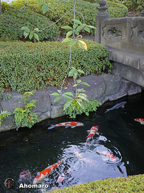 写真00