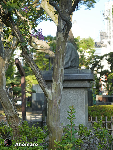 写真00