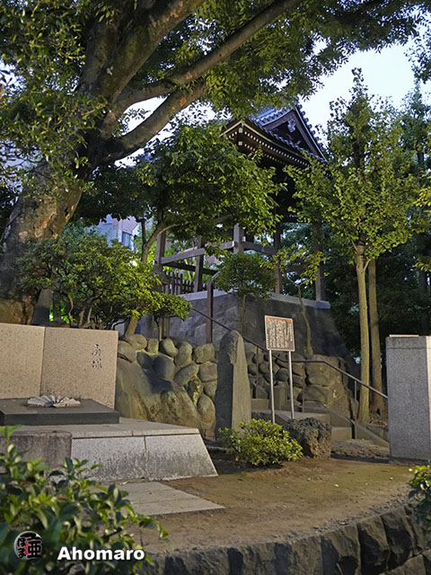 写真00
