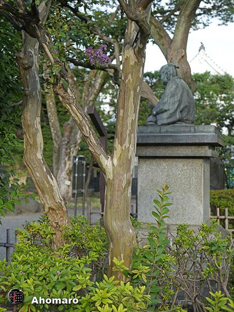 写真00