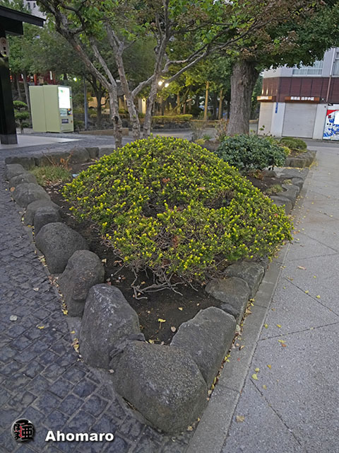 写真00