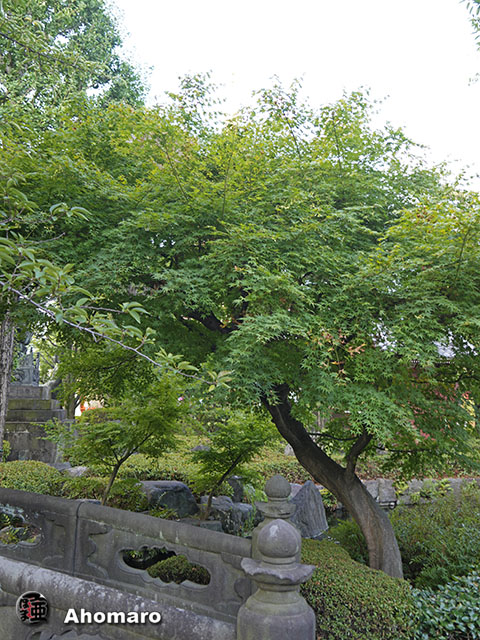 写真00