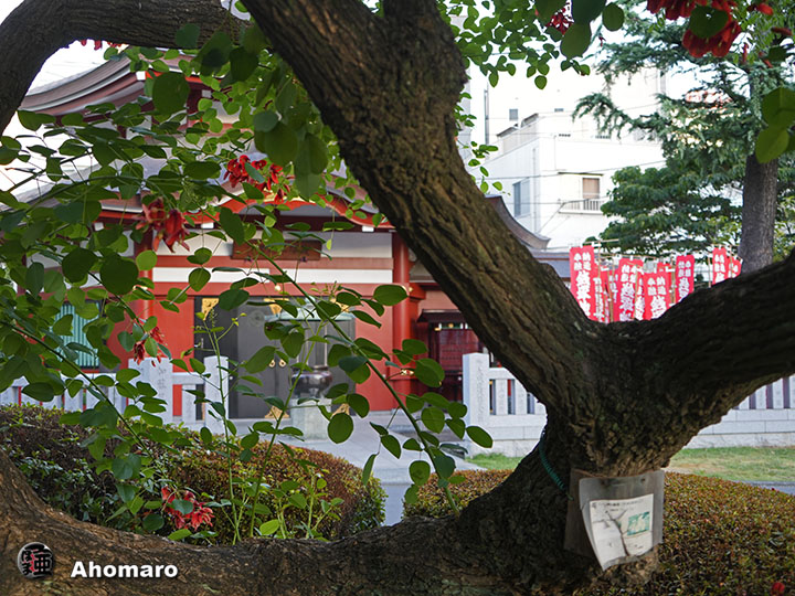 写真00