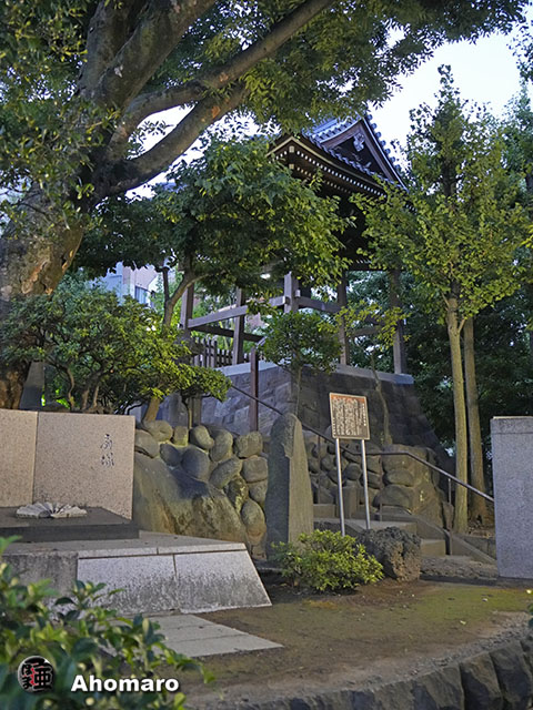 写真00