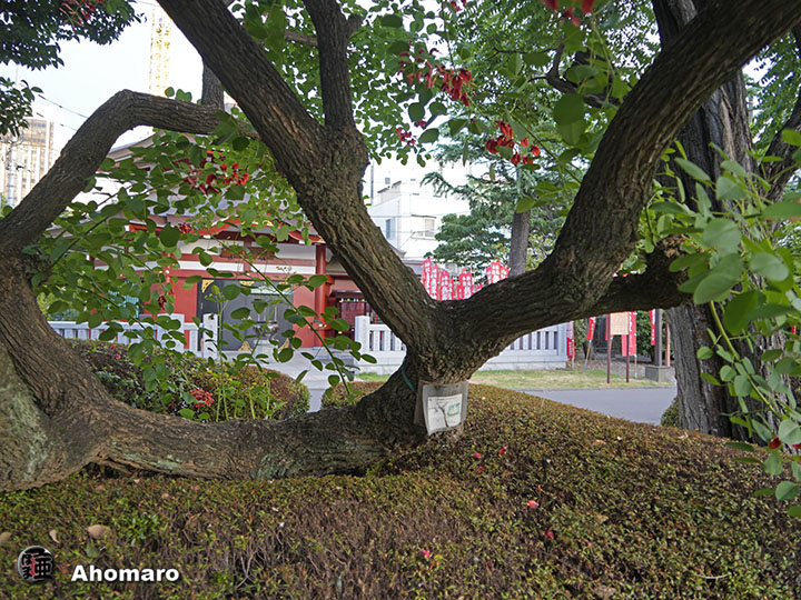写真00