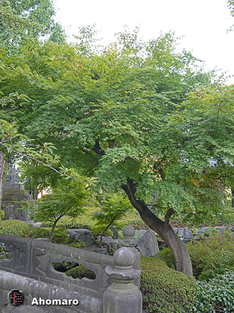 写真00