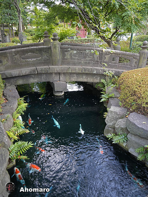 写真00