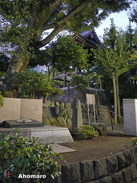 写真00