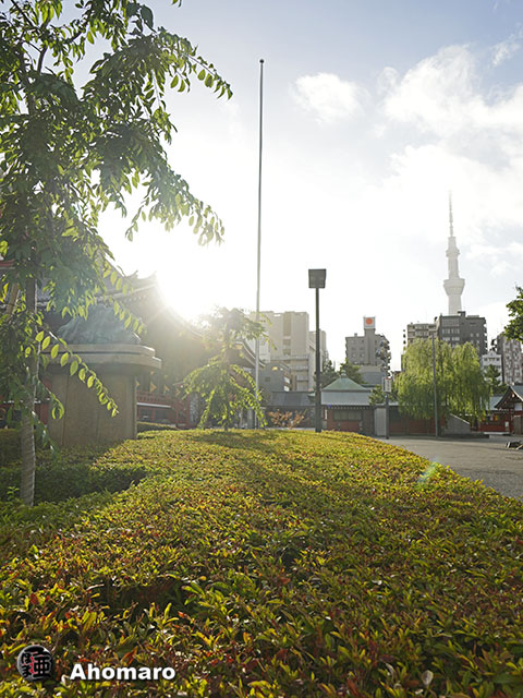 写真00