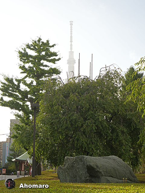 写真00
