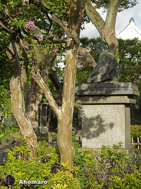 写真00