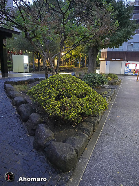 写真00