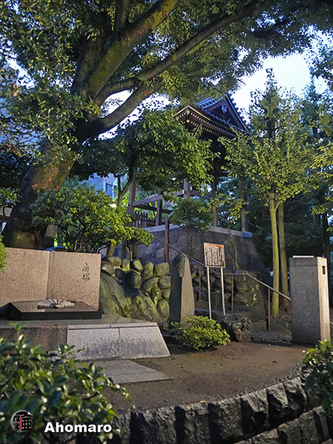 写真00