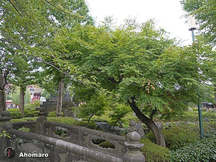 写真00