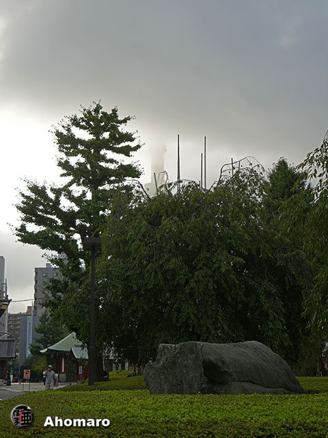 写真00