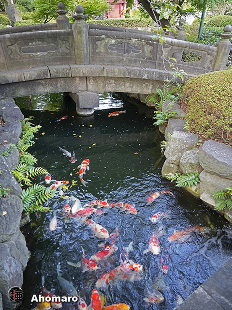 写真00