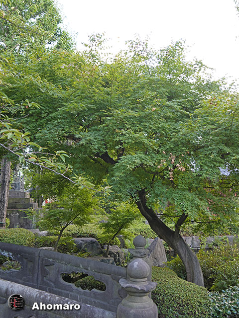 写真00