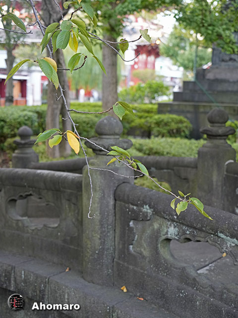 写真00