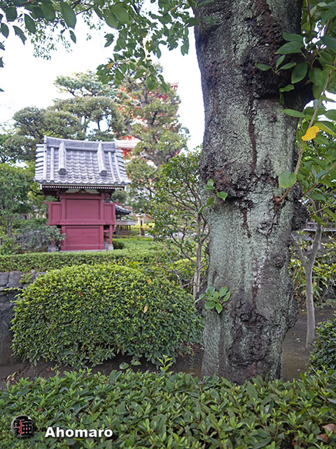 写真00