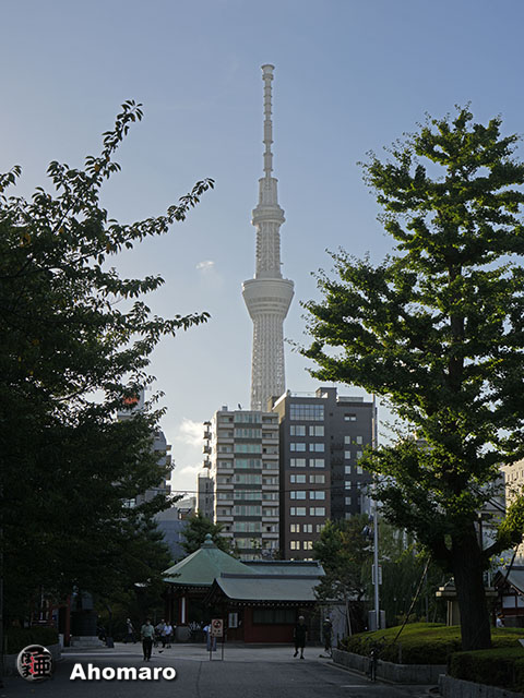 写真00