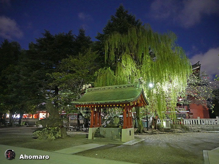 写真00