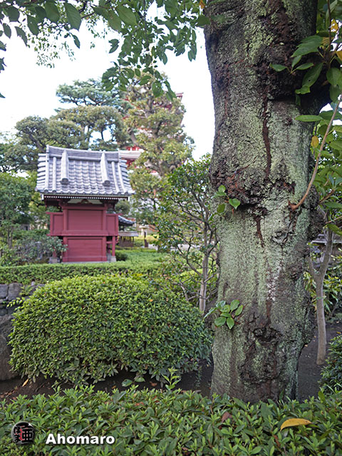 写真00