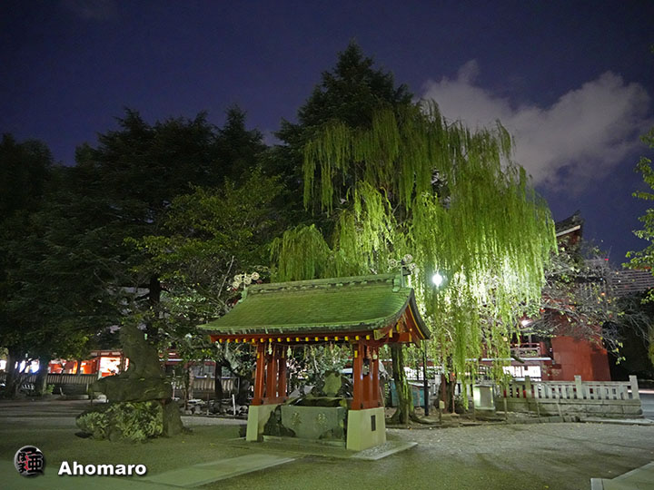写真00