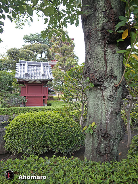 写真00